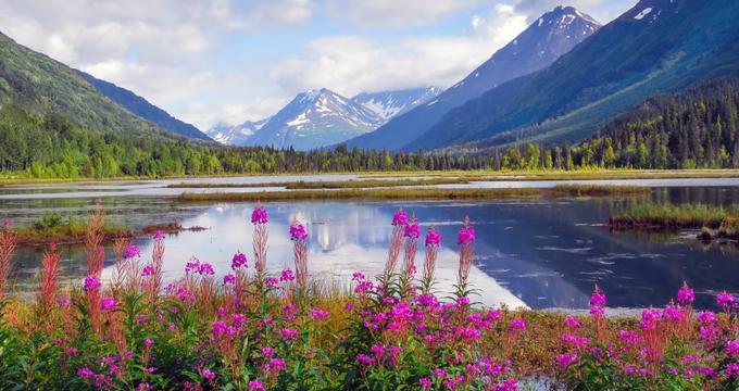 14-best-and-coolest-things-to-do-in-alaska-this-fall